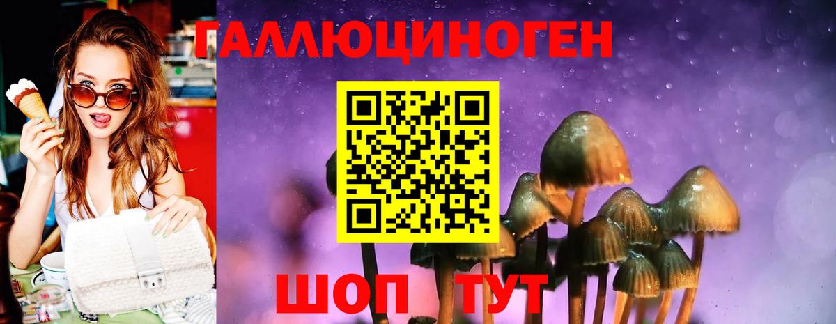 Псилоцибиновые грибы мицелий  Галлюциногенные грибы MAGIC MUSHROOMS  Новочеркасск  Вход с VPN 